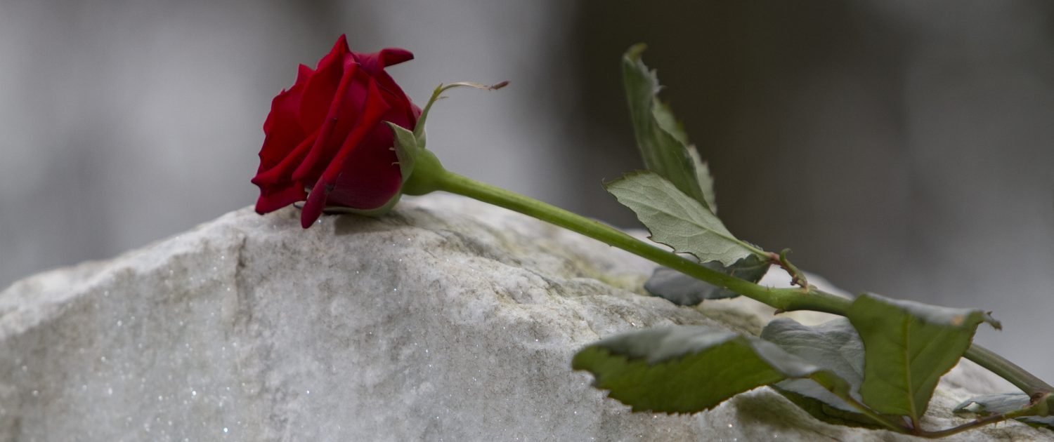 Eine rote Rose auf einem Grabstein