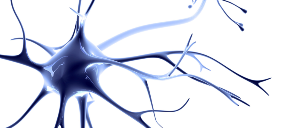 Modell einer Synapse